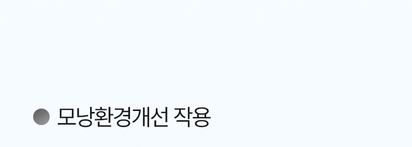 I WANT IT 이미지 005